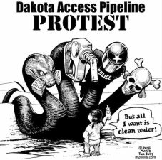 dapl image 1