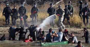 dapl image 3